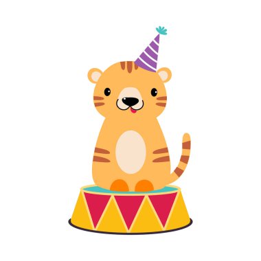 Çizgili Kaplan Sirk Hayvanı Renkli Davul Sahneleme Numarası Resimleri Yapıyor