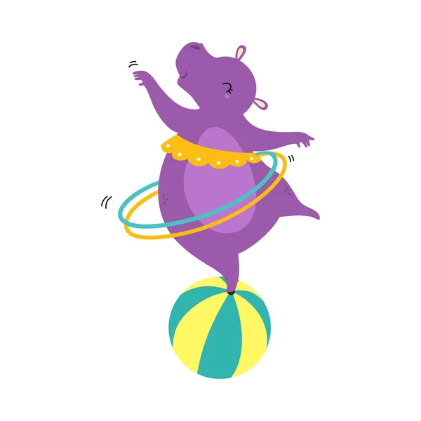 Circus Hippo Animal Balancing in Ball with Hula Hoop Performing Trick Vector Illustration — 스톡 벡터