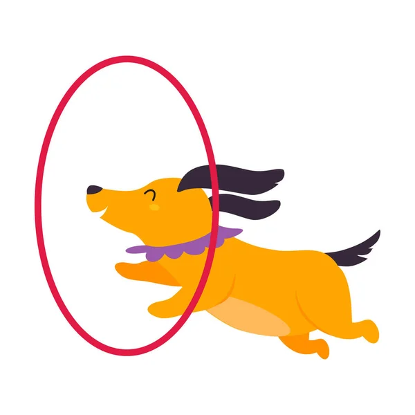 Circo cão animal saltando através pendurado Hula Hoop realizando Truque Vector Ilustração — Vetor de Stock