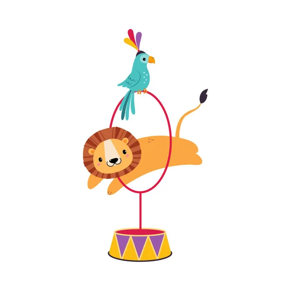 Circo León Animal saltando a través de Hula Hoop con sentado en él loro realizar truco Vector Ilustración — Vector de stock