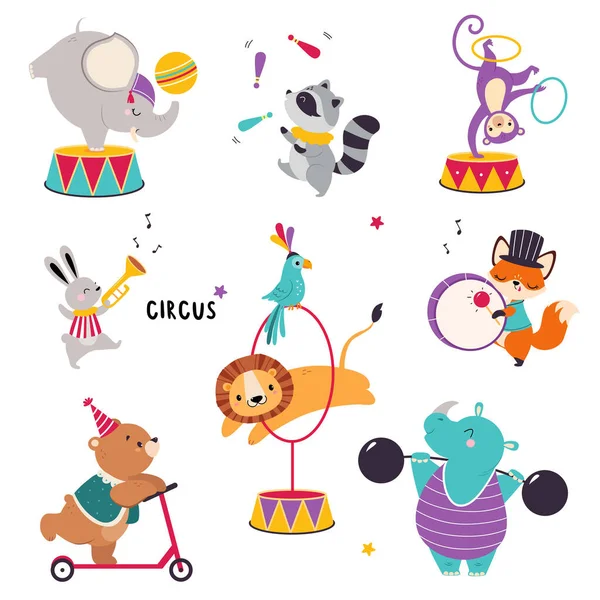 Circo animales realizar trucos con mapache malabares y mono volteretas con Hula Hoop Vector Set — Archivo Imágenes Vectoriales