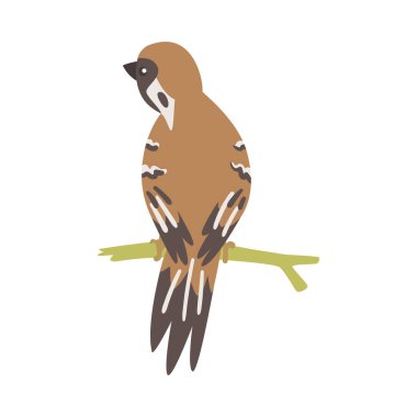 Sparrow as Brown and Grey Small Passerine Bird with Short Tail Sitting on Branch Vector Illustration clipart