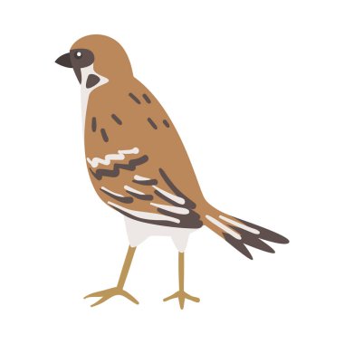 Kahverengi ve Gri Küçük Yolcu Kuşu rolünde Serçe Kısa Kuyruklu Duran Vektör İllüzyonu
