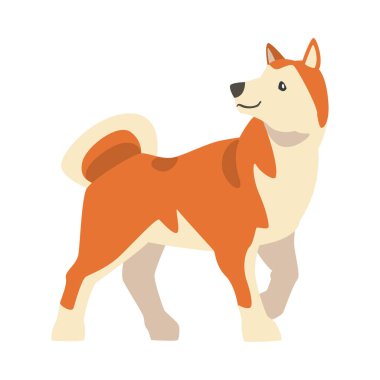 Shiba Inu - Japon Avcı Köpeği Türü - Dik Kulaklı ve Kıvrık Kuyruklu Poz Vektörü İllüstrasyonu