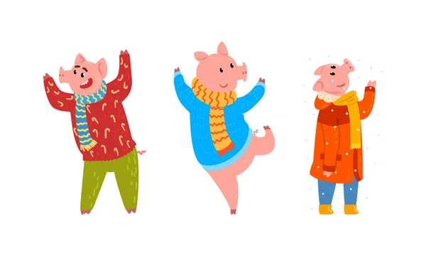 Set of Cute Funny Pig Characters Dressed Warm Bright Clothes Having Fun Cartoon Vector Illustration — Stock Vector