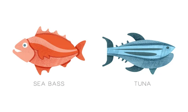 Meer Ozean Fische Set, Sea Buss, Thunfisch Flat Vector Illustration — Stockvektor