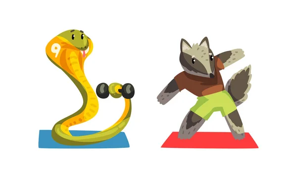 Cute Animals Doing Sports Set, Snake Exercising with Dumbbell and Raccoon Doing Side Bend Stretch Cartoon Vector Illustration — стоковий вектор