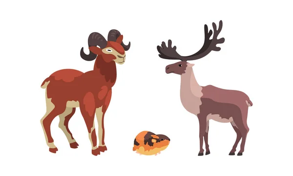 Conjunto de animais polares, renas árticas, Lemming e ilustrações de vetores de desenhos animados de cabra de montanha —  Vetores de Stock