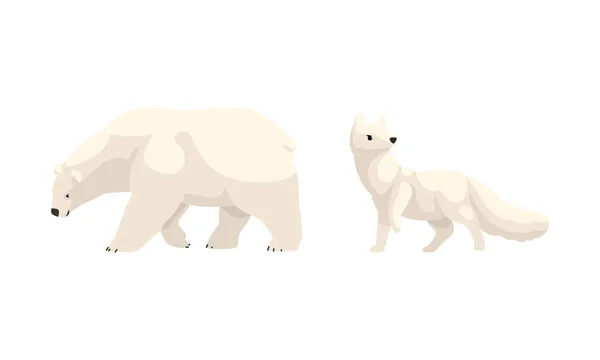 Arctic Animals Set, White Polar Bear και Fox Cartoon Vector Εικονογράφηση — Διανυσματικό Αρχείο