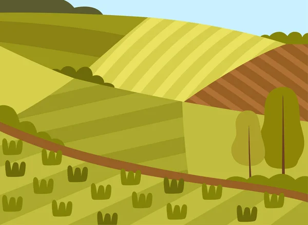 Vista do país com campo semeado e terra de pastagem como ilustração vetorial paisagem verde — Vetor de Stock