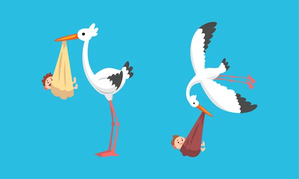 Uppsättning Storkar Som Bär Nyfödda Spädbarn, Stork Fågelstork Som Levererar Baby Vector Illustration — Stock vektor