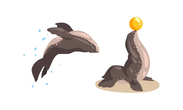 Pälsdjur som uppträder i Dolphinarium eller Oceanarium Tecknad vektor Illustration — Stock vektor