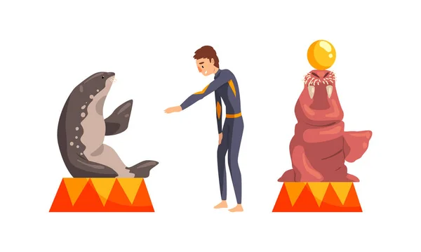 Sea Lion and Fur Seal Sitting on Pedestal Performing in Dolphinarium or Oceanarium Set Cartoon Vector Illustration — Διανυσματικό Αρχείο