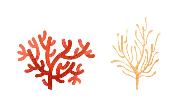 Ensemble de coraux et d'algues, Flore sous-marine Plantes Illustration vectorielle de dessin animé — Image vectorielle