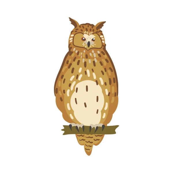 Pájaro búho encaramado con cabeza ancha y garras afiladas con postura vertical Vector ilustración — Archivo Imágenes Vectoriales