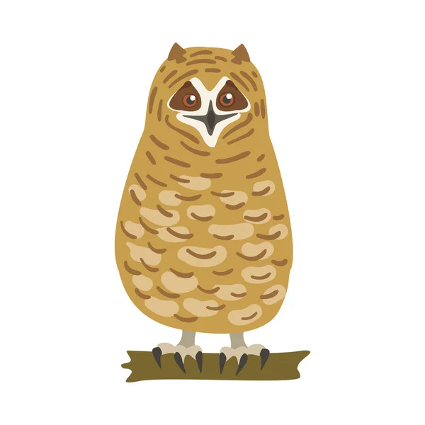 Perching Owl Bird with Broad Head and Sharp Talons having Stepright Stance Vector Illustration — Stockový vektor