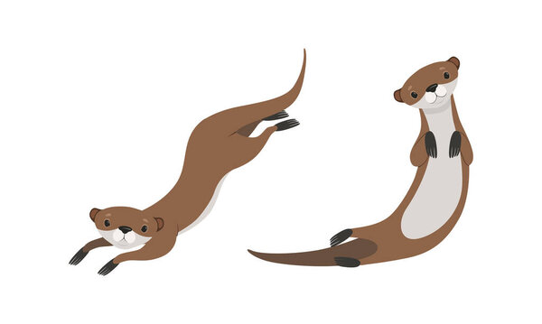 Set of Cute Weasel in Various Poses, Adorable Funny Wild Animal Cartoon Vector Illustration