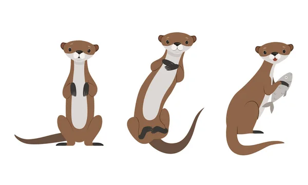 Set of Cute Weasel, Adtful Funny Wild Animal Cartoon Vector Illustration — 스톡 벡터