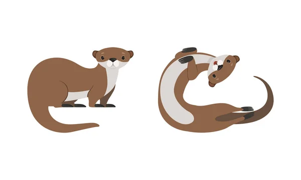 Set of Cute Weasel, Adgreat Funny Otter Animal Cartoon Vector Illustration — 스톡 벡터