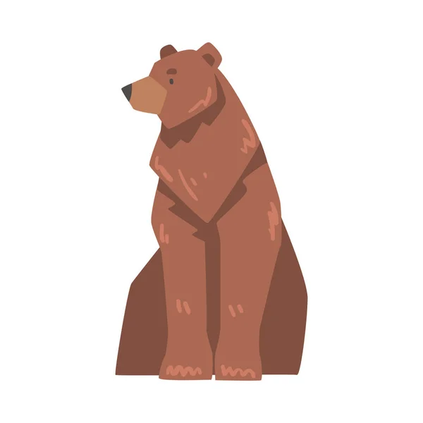 Sitting Large Brown Bear, Wild Predator Mammal Animal Animal Vector Illustration — стоковый вектор