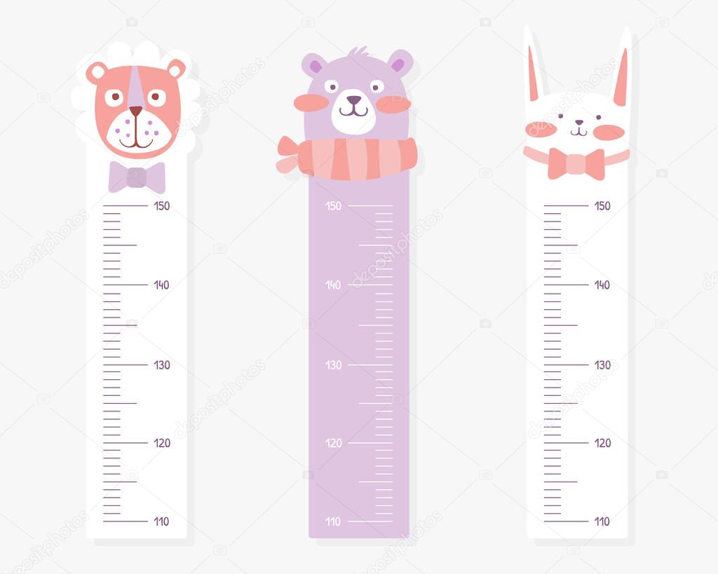 Kids Meter Wall with Cute Animals Set, Stadiometer for Little Children Vector Illustration