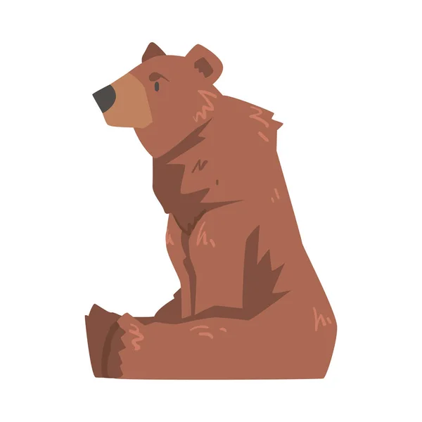 Zijaanzicht van zittende bruine beer, grote wilde roofdier zoogdier cartoon vector illustratie — Stockvector