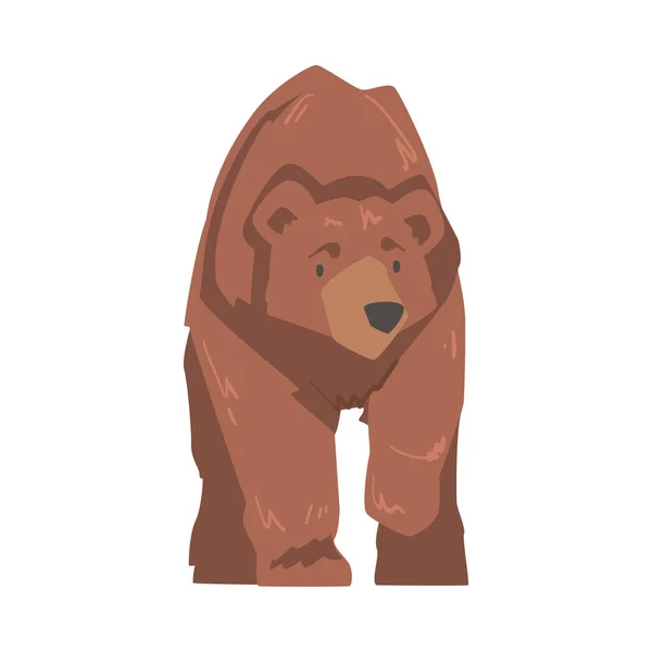 Large Brown Bear, Wild Mammal Animal Animal Cartoon Vector Illustration — стоковый вектор