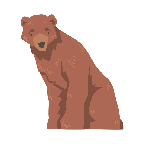 Zittende grote bruine beer, wilde roofdier zoogdier cartoon vector illustratie — Stockvector