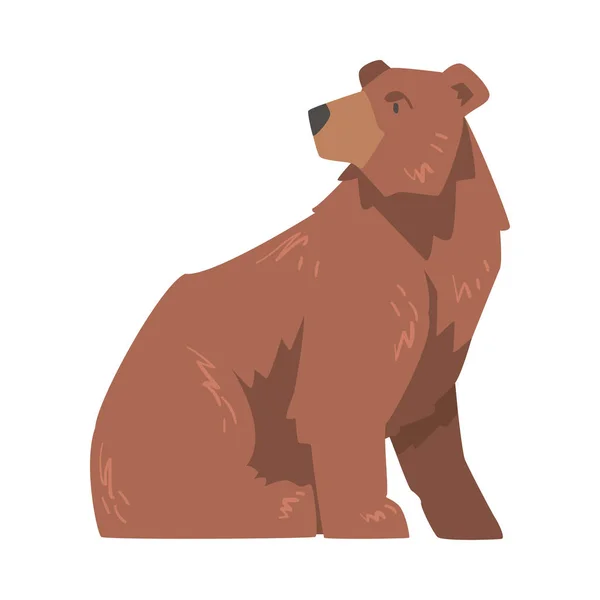 Sitting Large Brown Bear, Wild Mammal Animal Animal Vector Illustration — стоковый вектор