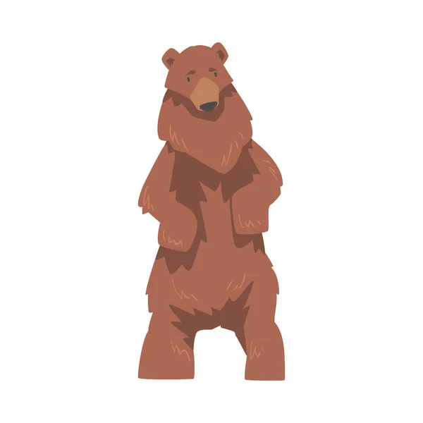 Bruine beer staande op twee benen, grote wilde roofdier zoogdier cartoon vector illustratie — Stockvector