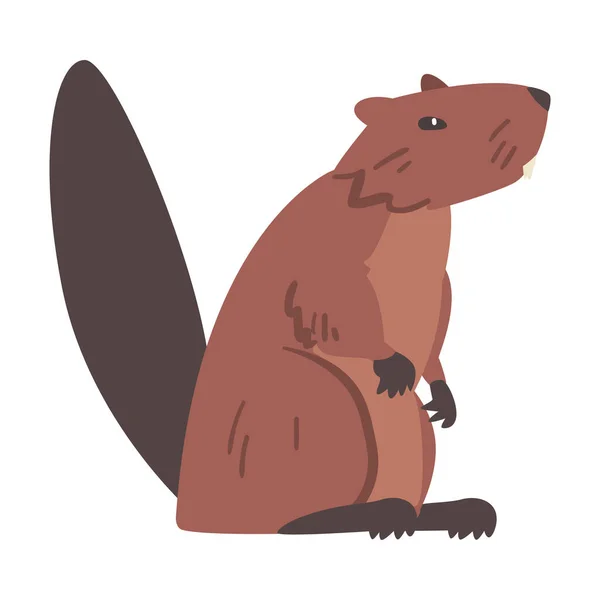 Brown Beaver, Side View of Wild Rodent Animal Cartoon Vector Illustration — 스톡 벡터