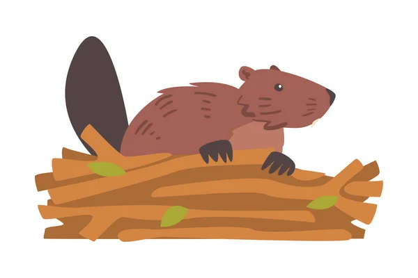 Beaver Gnawing Log, Brown Rodent Wild Mammal Animal Cartoon Vector Illustration — 스톡 벡터