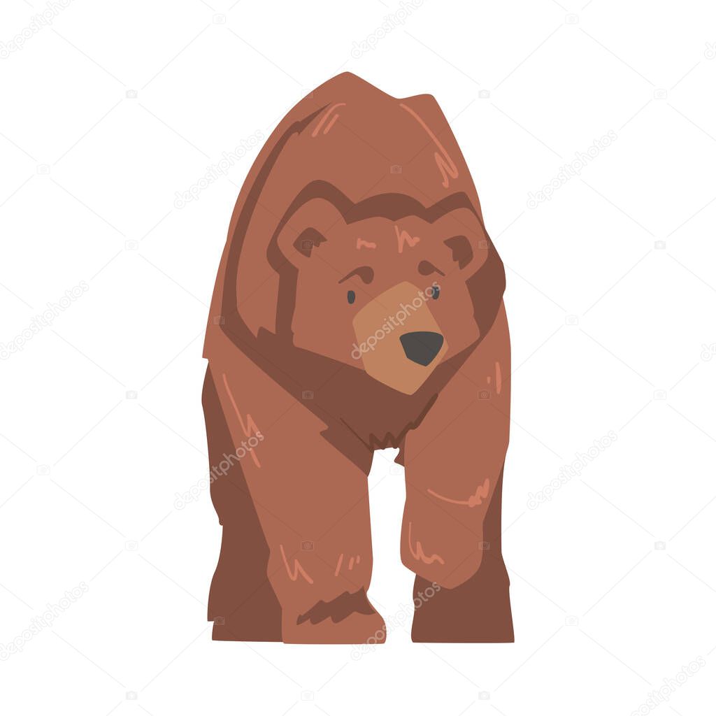 Large Brown Bear, Wild Mammal Animal Cartoon Vector Illustration