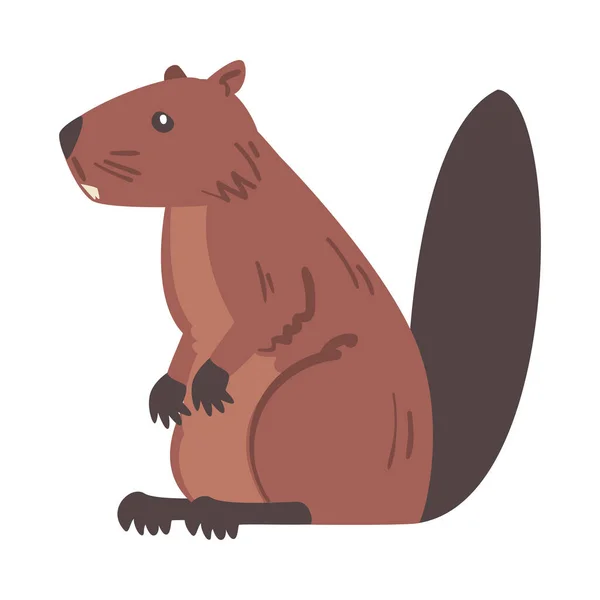 Boční pohled na Brown Beaver, Wild Rodent Animal Cartoon Vector Illustration — Stockový vektor