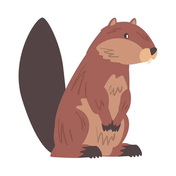 Brown Beaver Wild Rodent Animal Cartoon Vector Illustration — Stockový vektor