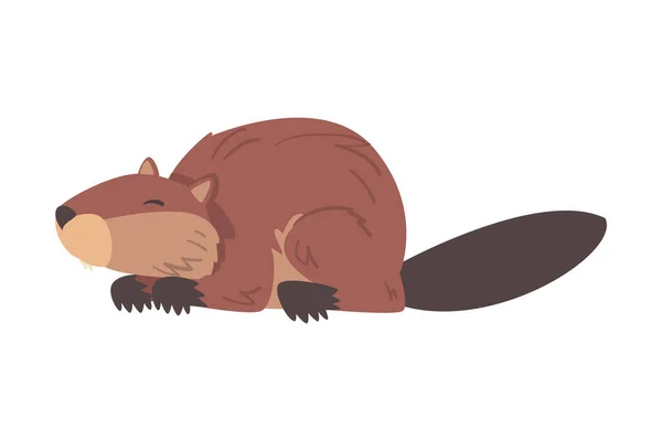 Милий смішний коричневий бобер дикий гризун тварин мультфільм Векторні ілюстрації — стоковий вектор