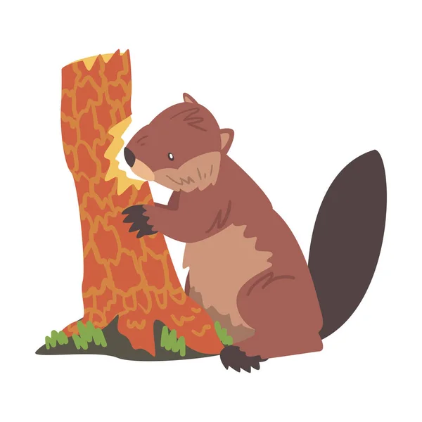 Cute Beaver Gnawing Old Tree Trunk, Brown Rodent Wild Mammal Animal Cartoon Vector Illustration — 스톡 벡터