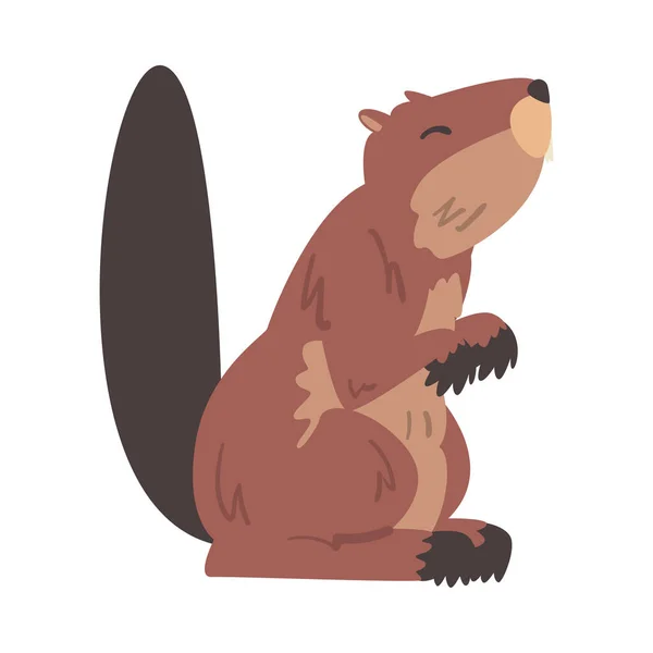 Cute Brown Beaver, Dzikie ssaki Gryzonie Wektor kreskówki ilustracji — Wektor stockowy