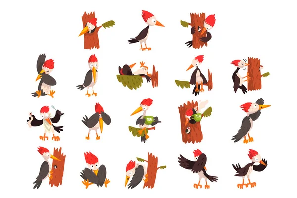 Leuke Spechten Set, Grappige Vogel Karakter Activiteit Tekenfilm Vector Illustratie — Stockvector