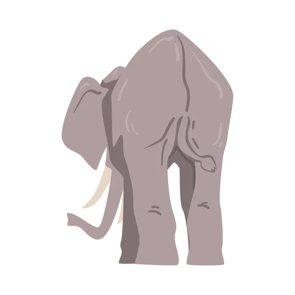 Elefante de pie como gran animal africano con tronco, tobillos, orejeras y patas enormes Vista posterior Vector ilustración — Vector de stock