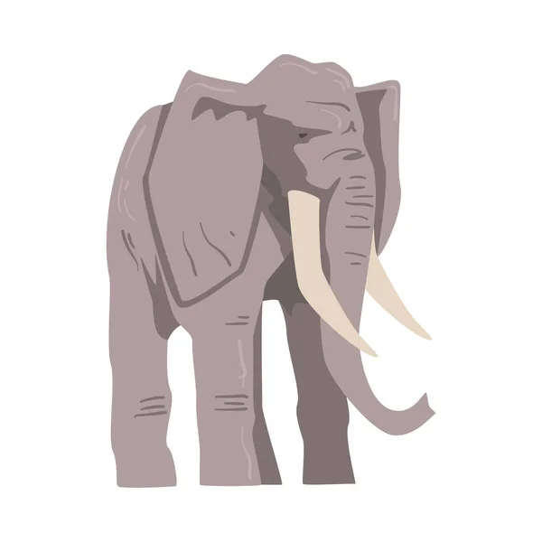 Elefante de pie como gran animal africano con tronco, tobillos, orejeras y patas masivas Vector Ilustración — Vector de stock