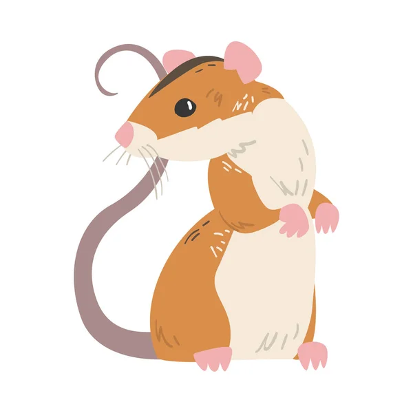 Польова миша у ролі малого гризуна з довгим хвостом і шершавою чорною смугою. — стоковий вектор