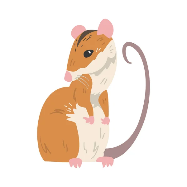 Souris de champ comme petit rongeur à longue queue et illustration vectorielle à rayures noires dorsales — Image vectorielle