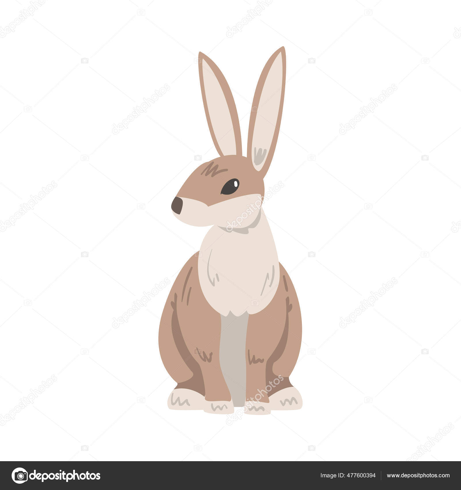 Vektorgrafiken Liebre Rapida Vector Vektorbilder Liebre Rapida Vector Seite 4 Depositphotos