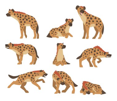 Hyenas as Carnivore Mammal with Spotted Coat and Rounded Ears Sitting, Standing and Attacking Vector Set clipart