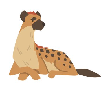 Hyena as Carnivore Mammal with Spotted Coat and Rounded Ears Sitting Vector Illustration clipart