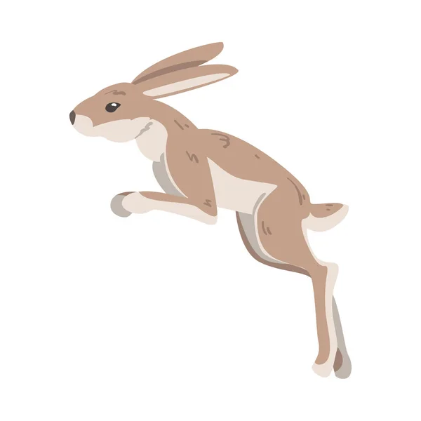 Άλμα λαγός ή Jackrabbit ως Swift Animal με μακριά αυτιά και γκρι καφέ παλτό διανυσματική απεικόνιση — Διανυσματικό Αρχείο