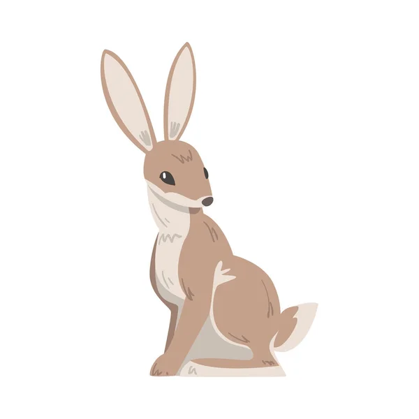 Sedící zajíc nebo králík jako rychlé zvíře s dlouhýma ušima a šedohnědým kabátem Vektorové ilustrace — Stockový vektor