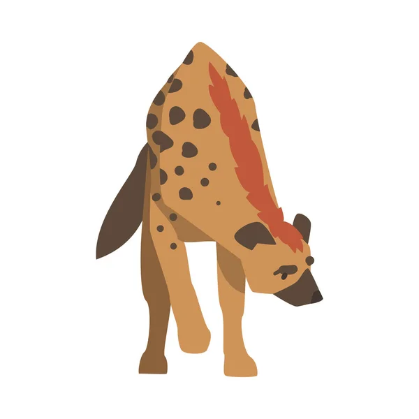 Hyena as Carnivore Mammal with Spotted Coat and Rounded Ears Walking Vector Illustration — Stock Vector