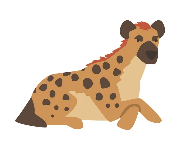 Hyena as Carnivore Mammal with Spotted Coat and Rounded Ears Sitting Vector Illustration — Stock Vector